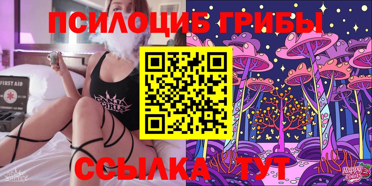 Псилоцибиновые грибы Psilocybine cubensis Домодедово