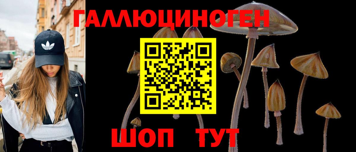Домодедово  Псилоцибиновые грибы Psilocybine cubensis  Вход с VPN 